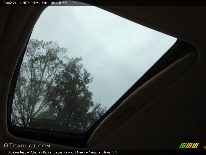 Mesa Beige Metallic / Saddle 2002 Acura MDX