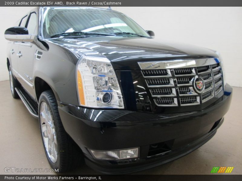 Black Raven / Cocoa/Cashmere 2009 Cadillac Escalade ESV AWD