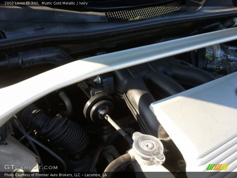 Mystic Gold Metallic / Ivory 2002 Lexus ES 300