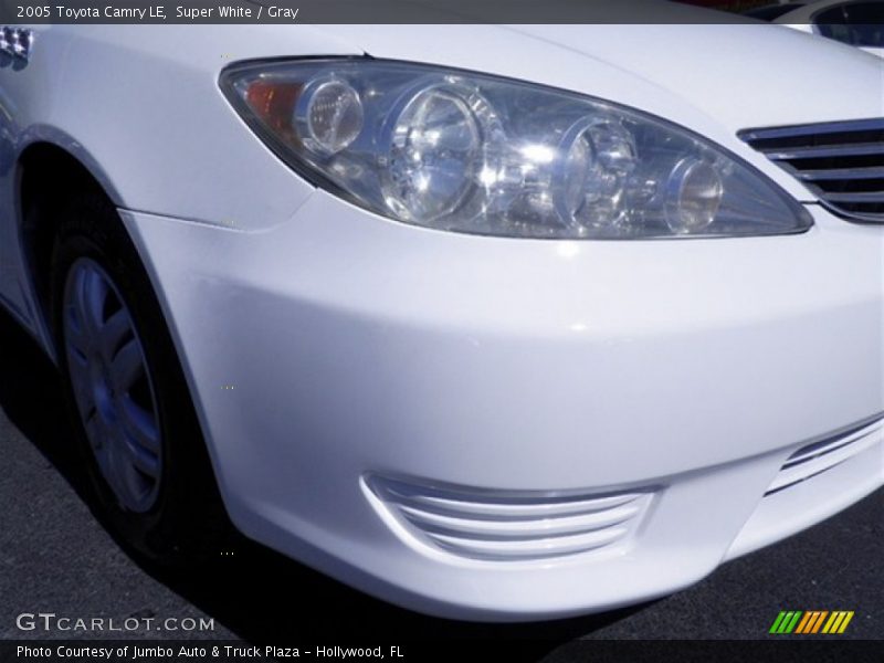Super White / Gray 2005 Toyota Camry LE