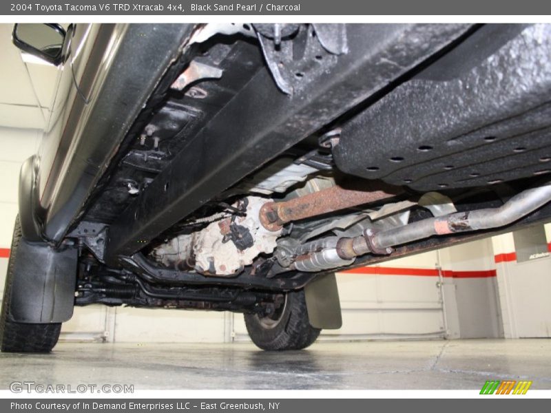 Black Sand Pearl / Charcoal 2004 Toyota Tacoma V6 TRD Xtracab 4x4