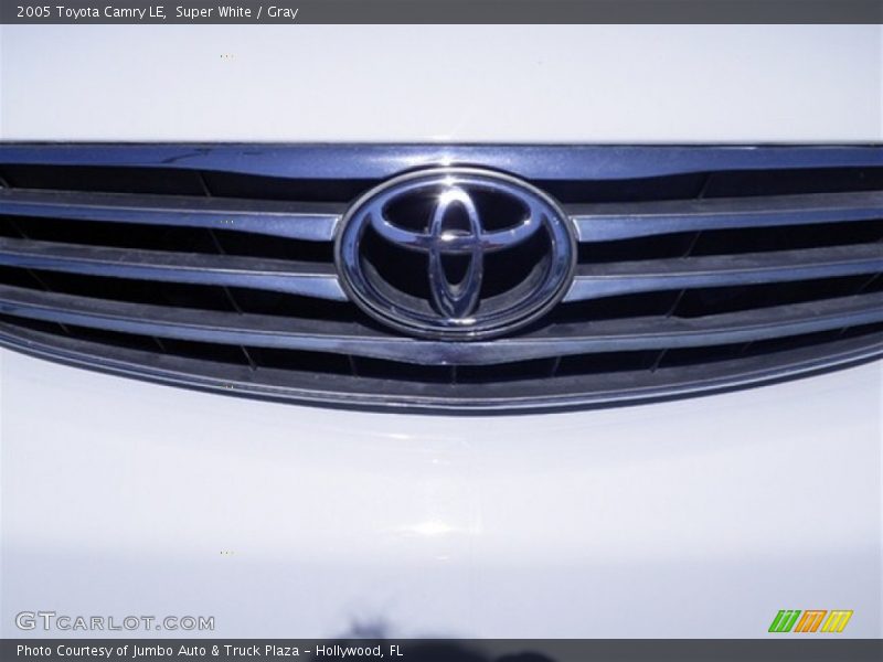 Super White / Gray 2005 Toyota Camry LE