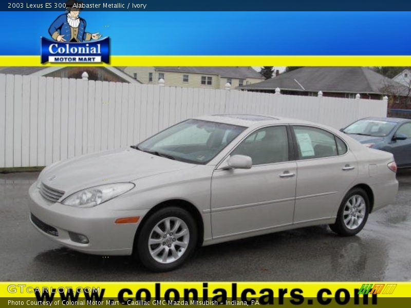 Alabaster Metallic / Ivory 2003 Lexus ES 300