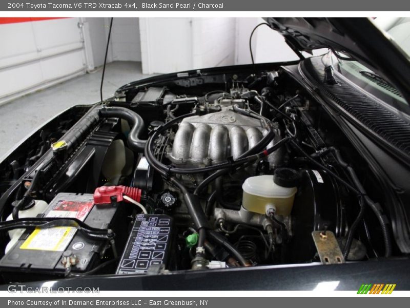 Black Sand Pearl / Charcoal 2004 Toyota Tacoma V6 TRD Xtracab 4x4