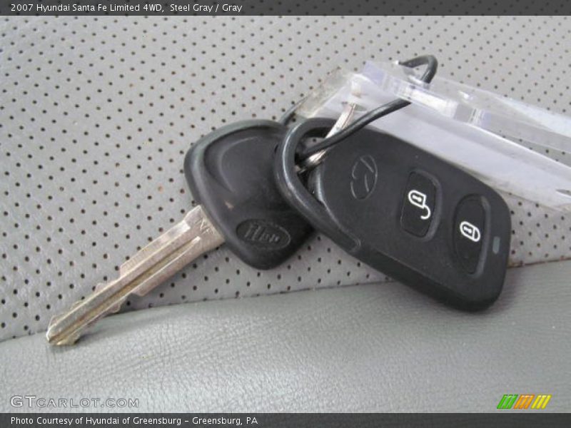 Steel Gray / Gray 2007 Hyundai Santa Fe Limited 4WD