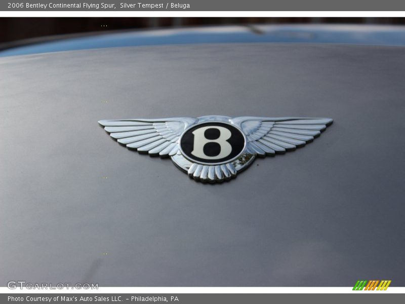 Silver Tempest / Beluga 2006 Bentley Continental Flying Spur