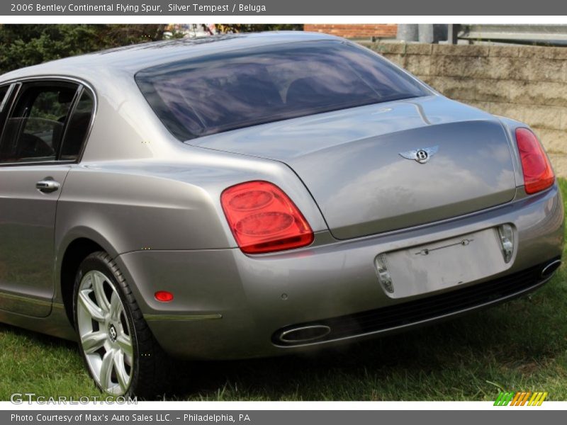 Silver Tempest / Beluga 2006 Bentley Continental Flying Spur