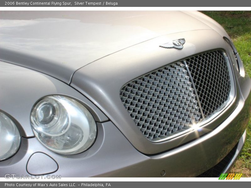 Silver Tempest / Beluga 2006 Bentley Continental Flying Spur