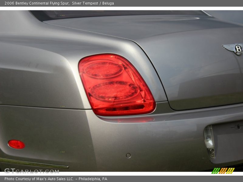 Silver Tempest / Beluga 2006 Bentley Continental Flying Spur