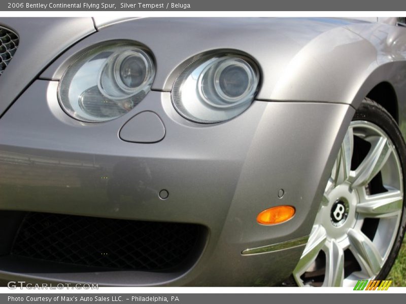 Silver Tempest / Beluga 2006 Bentley Continental Flying Spur