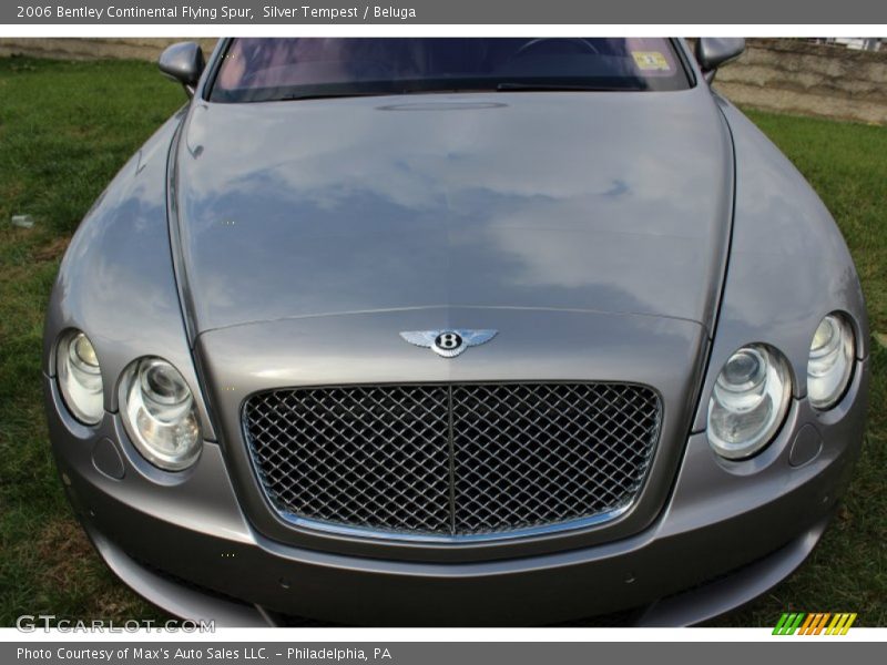 Silver Tempest / Beluga 2006 Bentley Continental Flying Spur