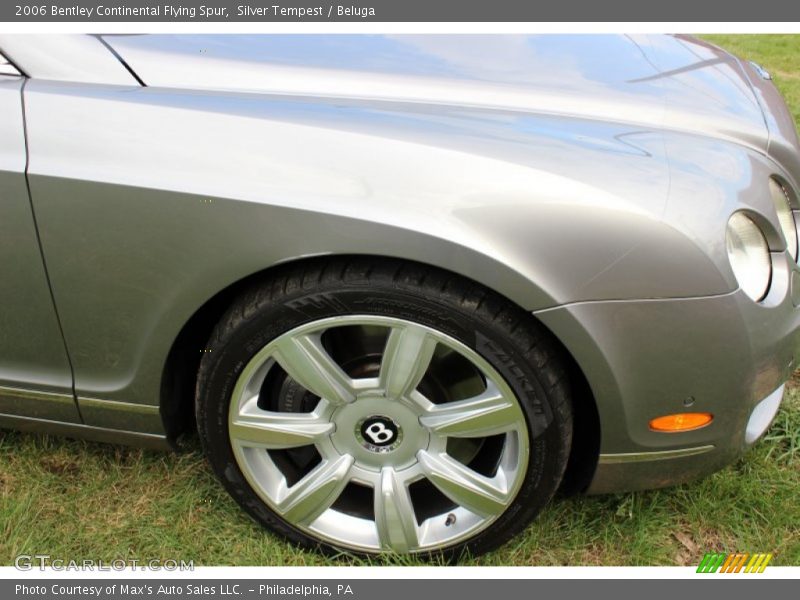 Silver Tempest / Beluga 2006 Bentley Continental Flying Spur