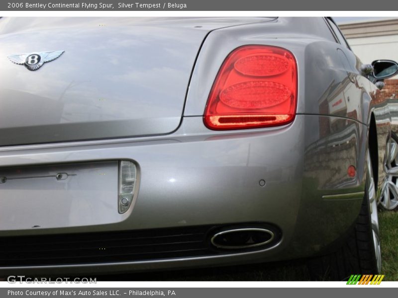 Silver Tempest / Beluga 2006 Bentley Continental Flying Spur