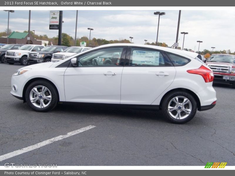 Oxford White / Charcoal Black 2013 Ford Focus SE Hatchback