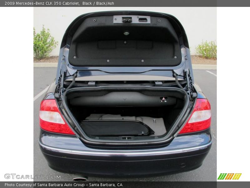 Black / Black/Ash 2009 Mercedes-Benz CLK 350 Cabriolet
