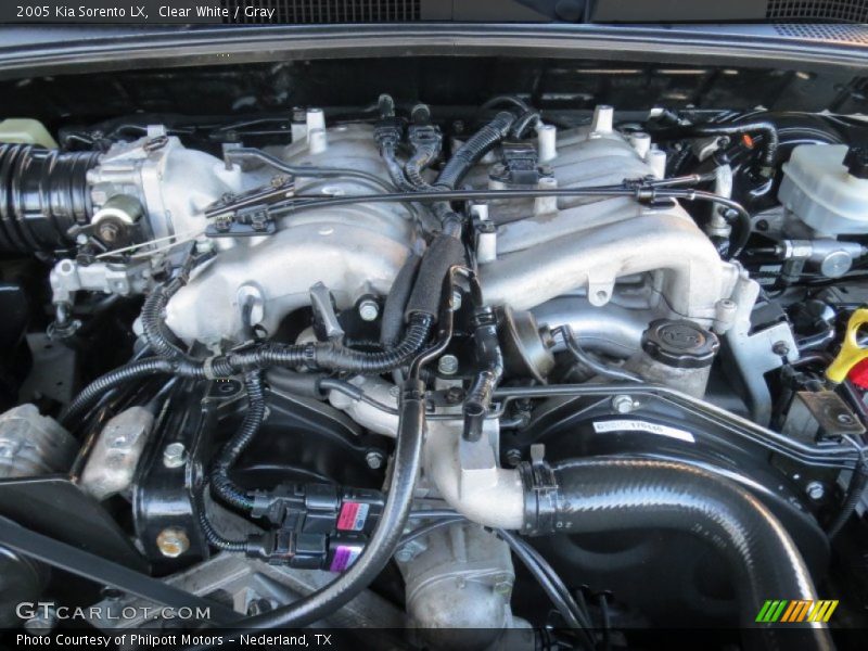 Clear White / Gray 2005 Kia Sorento LX