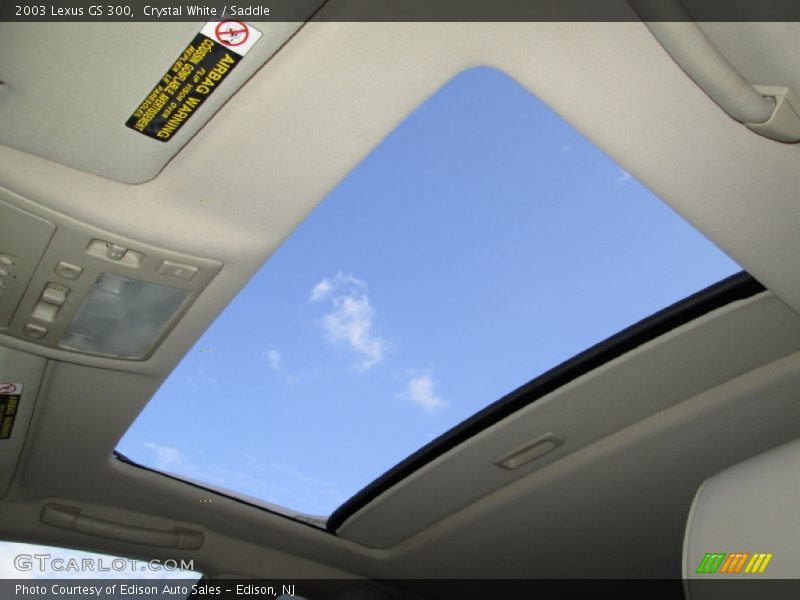 Crystal White / Saddle 2003 Lexus GS 300