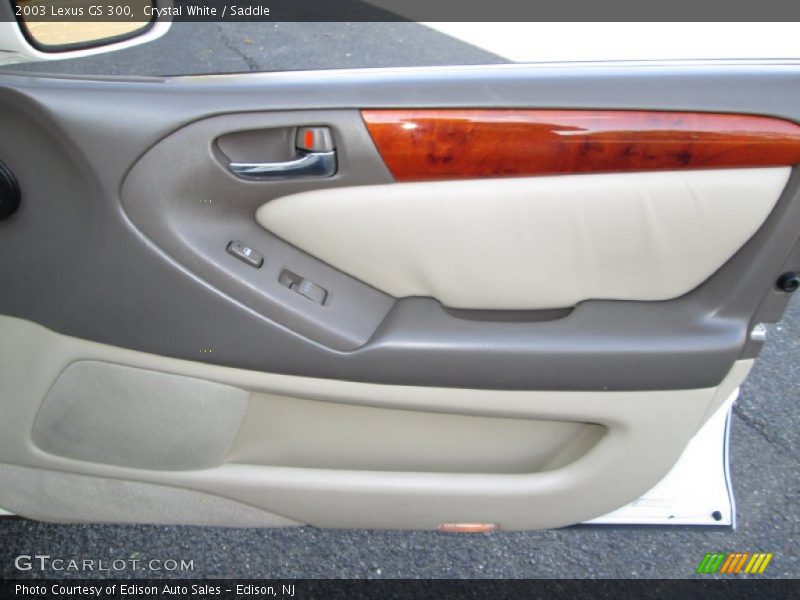 Crystal White / Saddle 2003 Lexus GS 300