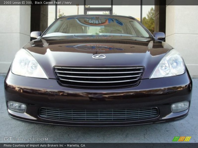 Black Garnet Pearl / Ivory 2003 Lexus ES 300