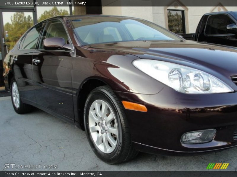 Black Garnet Pearl / Ivory 2003 Lexus ES 300