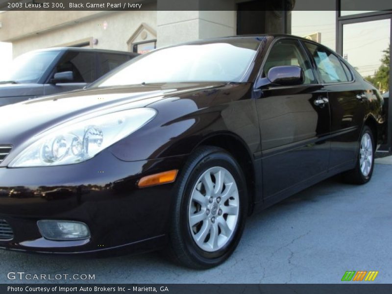 Black Garnet Pearl / Ivory 2003 Lexus ES 300