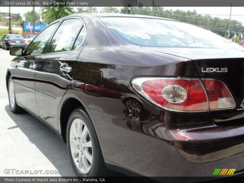 Black Garnet Pearl / Ivory 2003 Lexus ES 300