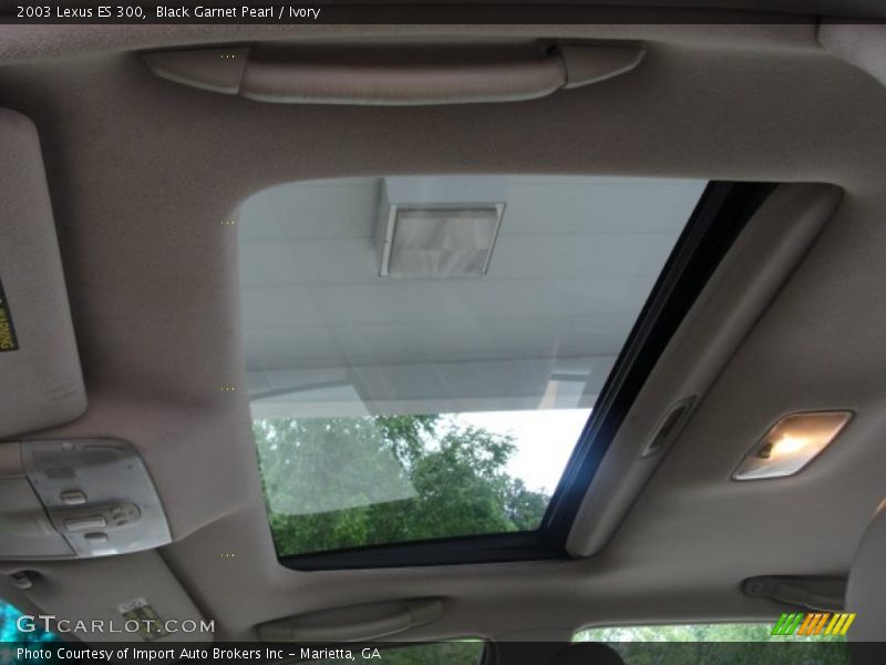 Black Garnet Pearl / Ivory 2003 Lexus ES 300