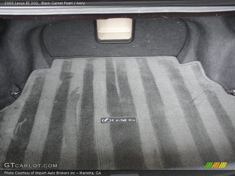 Black Garnet Pearl / Ivory 2003 Lexus ES 300
