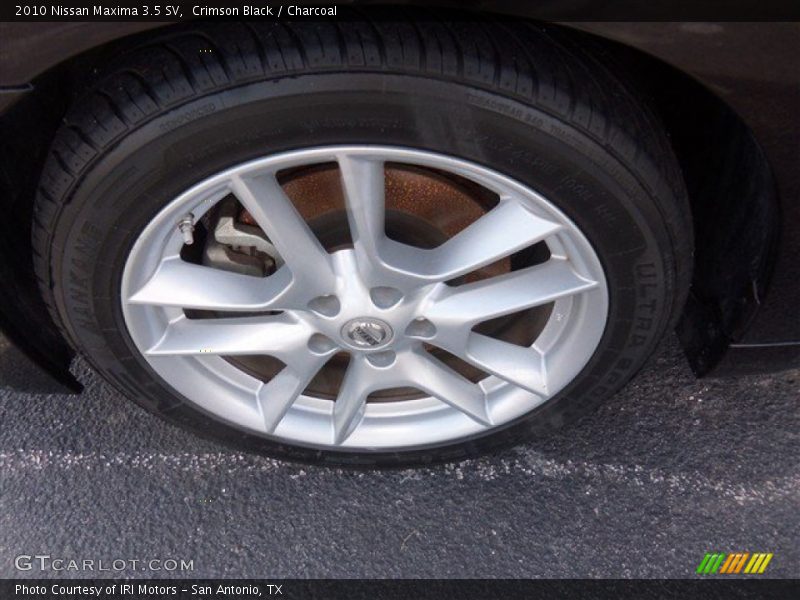 Crimson Black / Charcoal 2010 Nissan Maxima 3.5 SV