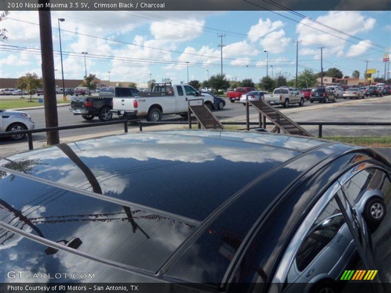 Crimson Black / Charcoal 2010 Nissan Maxima 3.5 SV