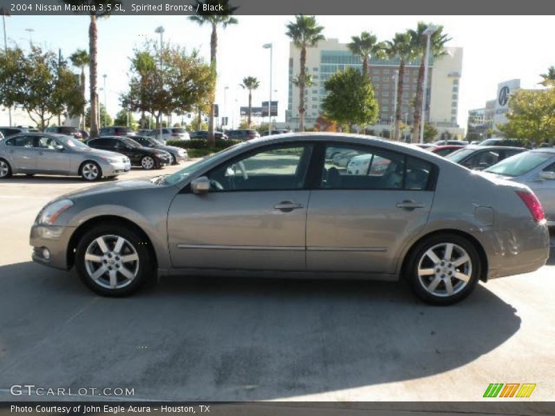 Spirited Bronze / Black 2004 Nissan Maxima 3.5 SL