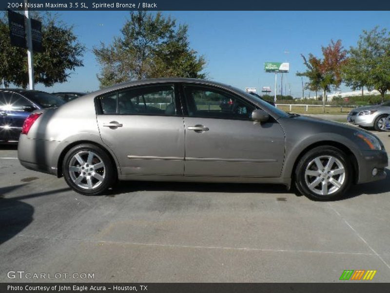 Spirited Bronze / Black 2004 Nissan Maxima 3.5 SL
