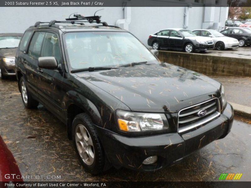 Java Black Pearl / Gray 2003 Subaru Forester 2.5 XS