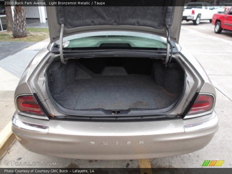 Light Bronzemist Metallic / Taupe 2000 Buick Park Avenue