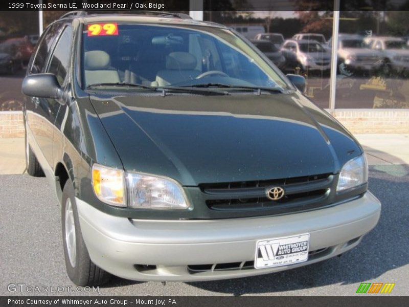 Woodland Pearl / Oak Beige 1999 Toyota Sienna LE