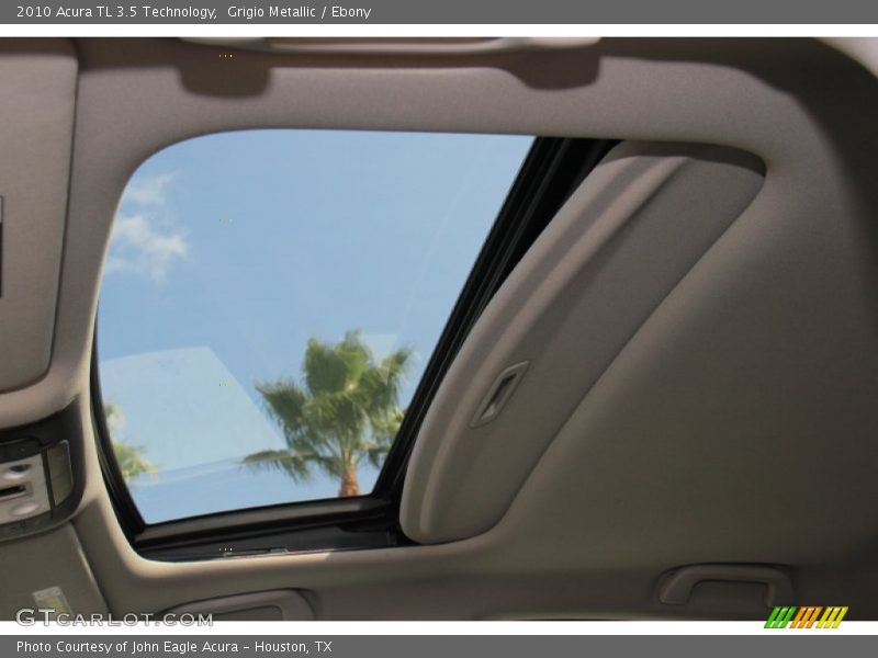 Grigio Metallic / Ebony 2010 Acura TL 3.5 Technology