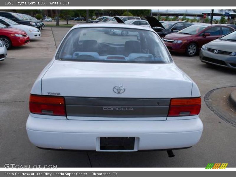 White / Blue 1993 Toyota Corolla DX
