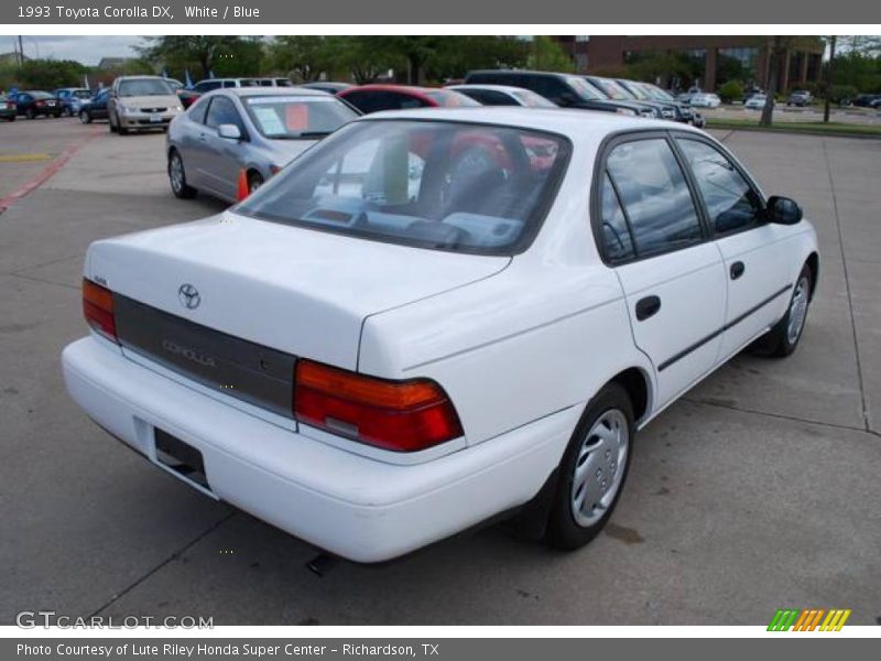 White / Blue 1993 Toyota Corolla DX