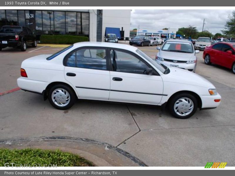 White / Blue 1993 Toyota Corolla DX