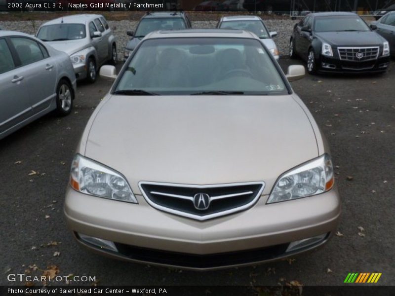 Naples Gold Metallic / Parchment 2002 Acura CL 3.2