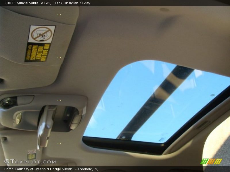 Black Obsidian / Gray 2003 Hyundai Santa Fe GLS