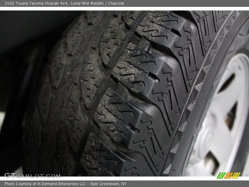 Lunar Mist Metallic / Charcoal 2002 Toyota Tacoma Xtracab 4x4