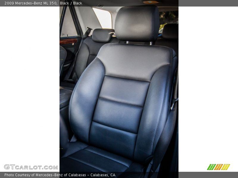 Black / Black 2009 Mercedes-Benz ML 350