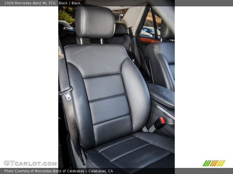 Black / Black 2009 Mercedes-Benz ML 350