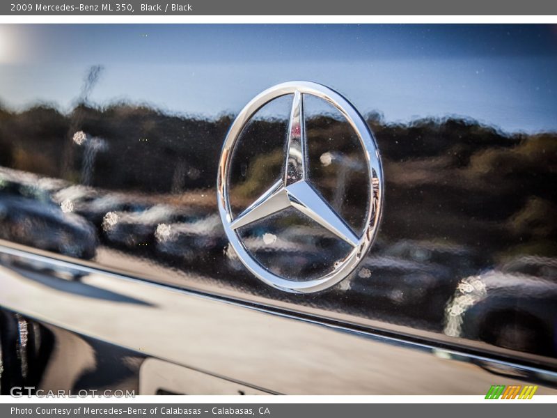 Black / Black 2009 Mercedes-Benz ML 350
