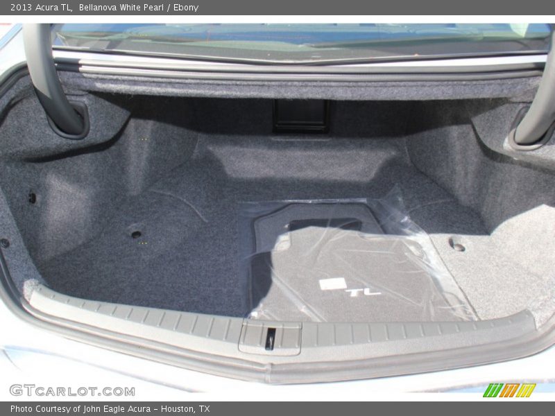  2013 TL  Trunk