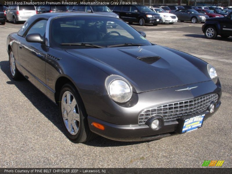 Mountain Shadow Grey / Black Ink 2003 Ford Thunderbird Premium Roadster