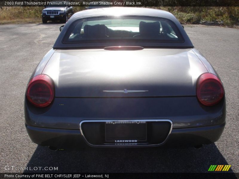 Mountain Shadow Grey / Black Ink 2003 Ford Thunderbird Premium Roadster