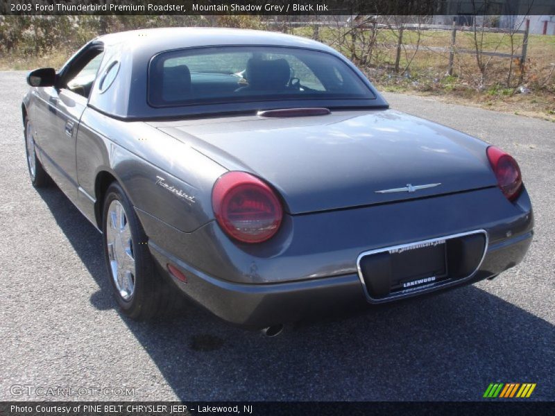 Mountain Shadow Grey / Black Ink 2003 Ford Thunderbird Premium Roadster