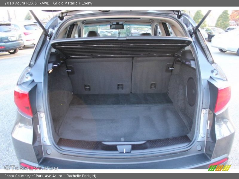 Grigio Metallic / Ebony 2010 Acura RDX SH-AWD